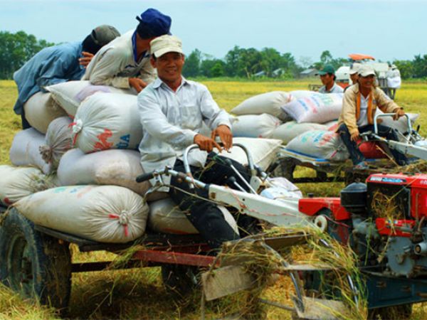 "Lái máy cày cũng phải có bằng"