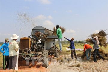 Cơ khí nông nghiệp: Việt Nam đang ở vị trí nào?